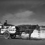 Cover image for Photograph - Hobart, horse and cart milk delivery