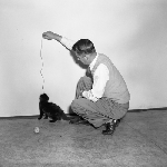 Cover image for Photograph - Father plays with the kitten