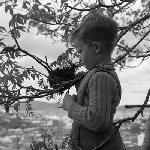 Cover image for Photograph - Child looking at a birds' nest
