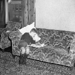 Cover image for Photograph - Small boy reads book on the couch