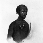 Cover image for Photograph - "Timmy, native of East Coast, V. D. L." drawing by T. Bock (copy)