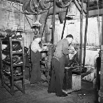 Cover image for Photograph - Blundstone Boot Factory, machine operators