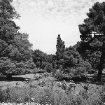 Cover image for Photograph - Launceston, a park (Prince's Square?)