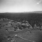 Cover image for Photograph - Epping Forest, aerial view