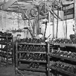 Cover image for Photograph - Blundstone Boot Factory, boots