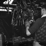 Cover image for Photograph - Blundstone Boot Factory, machine operator