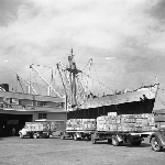 Cover image for Photograph - Hobart, fruit ship S. S. "Nottingham" docked at the old King's Pier, with fruit trucks waiting to unload