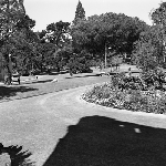 Cover image for Photograph - City Park, Launceston, the John Hart Conservatory