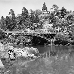 Cover image for Photograph - Cataract Gorge, Launceston, arch bridge in the backdrop
