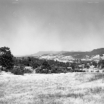 Cover image for Photograph - Mt. Wellington, view from Dysart