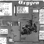 Cover image for Photograph - Oxygen Chart (copy)