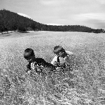Cover image for Photograph - Children in high grass field