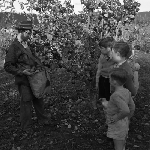 Cover image for Photograph - Huon Valley, children watching apple pickers