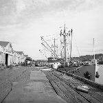 Cover image for Photograph - Launceston, freighter at wharf
