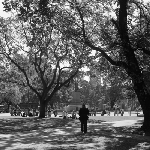 Cover image for Photograph - Franklin Square