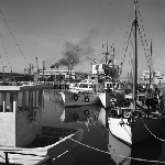 Cover image for Photograph - King's Pier, Hobart, moored vessels
