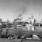Cover image for Photograph - Constitution Dock, Hobart