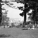 Cover image for Photograph - Hobart, view from old University gardens