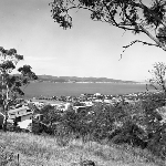 Cover image for Photograph - University of Tasmania, Sandy Bay campus