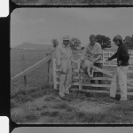 Cover image for Film - Mulesing - care and treatment of sheep. Cressy Research Farm. Department of Film Production for the Department of Agriculture.