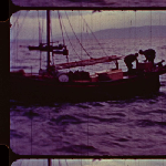 Cover image for Film - Coastal scallop fishing in southern Tasmanian waters, including inspection from the Sea Fisheries vessel 'Allara' of legal size limits, selling scallops on the Hobart waterfront, Casimaty's fish shop, and IXL canned scallops.