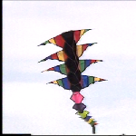 Cover image for Film - KITE FLYING FESTIVAL, LAUNCESTON - produced by TNT9 - shot in Churchill Park - (condition fair)