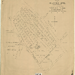 Cover image for Map - Hobart 98 - Plan of Hobartville Estate (New Town)