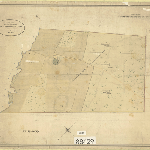 Cover image for Map - Pembroke 27  - plan of the property of George Cartwright, Orielton Rivulet, road from Richmond and various landholders