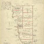 Cover image for Map - Wellington 17 - parish of Quiggin, land formerly reserved for Wynyard water supply surveyed in lots for sale by auction, including Moores Plain road and various landholders - surveyor FE Windsor (Field Books 864 and 865)
