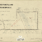 Cover image for Map - Westmorland 77 - parish of Woodbridge, Lobster Rivulet, Chudleigh Road and various landholders - surveyor Joseph Wilks