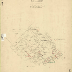 Cover image for Map - Cornwall 77 - parish of Woodford, town of Mangana, Tower Rivulet, Richardson's Creek, and Town of Alexandra, and various landholders