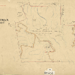 Cover image for Map - Buckingham 141 - parish of Bagot, Cecil Allport property and various landholders - surveyor Frank Pitt (Field Book 42)