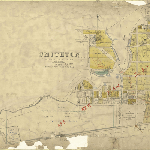 Cover image for Map - S/22 - town of Smithton, Duck Rv, Grant, Havelock, gibson, Smith, King, Robert, Murray, Kay, Billing, Ford, Fossey, Wedge, Lette, Hellyer, Lee, Grey, Nelson, Emmett, Massey Sts, various landholders