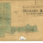Cover image for Map - S/45 - town of St Helens North, Georges Bay, Tully, Young, Aie, Medea, Grant, Cecilia, Cameron Sts, Esplanade, various landholders, surveyor John Thomas (field book no.1213)