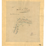 Cover image for Map - S/66 - town of Strahan, part of Esplanade, various properties