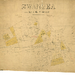 Cover image for Map - S/80 - town of Swansea, Maria, Murray, Gordon, Low, High, New, Noyes, Burgess Sts, road from Spring Bay, Salt Water Ck, Oyster Bay, various landholders, surveyor William Davidson