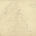 Cover image for Map - T/16 - subdivision of college reserve at town of Tunbridge, Thomas, Henry, York, Percy, Sorell Sts, road to Ballochmyle, Blackmans Rv, York Rvt, various landholders, surveyor H Percy Snell