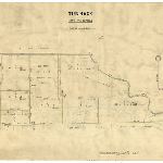 Cover image for Map - T/28 - town of Tunnack, Coal Rv, Willson St, various landholders, sureveyor EA Counsel (field book no.1322)
