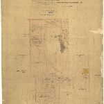 Cover image for Map - T/29 - plan of the Bluff reserve, county of Monmouth, parish of Bisdee, road to Richmond, West, Bond, Hall Sts, various landholders, surveyor Hogan (field book no.1325)