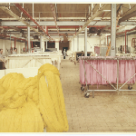 Cover image for Photograph - Patons and Baldwins (Australia) Ltd - Dyehouse