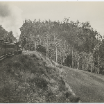 Cover image for Photograph - Main line express between Colebrook and Rhyndaston.
