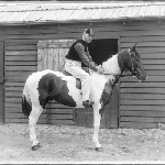 Cover image for Photograph - Man sitting on horse (in jockey uniform outside stable)