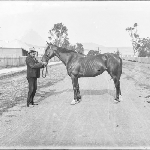 Cover image for Photograph - V. Featherstone holding horse, Fitzroy Street, Sorell