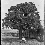 Cover image for Photograph - Girl sitting under tree