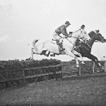 Cover image for Photograph - Horses jumping at Sorell race course?