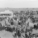 Cover image for Photograph - SORELL RACE COURSE - RACE DAY SCENE