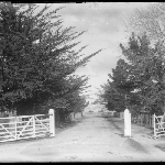 Cover image for Photograph - RAILWAY GATES AT STATION LANE, SORELL