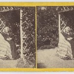 Cover image for Photograph - Mrs Gamalial  Butler in the garden at 'Stowell' Battery Point  - stereoscopic