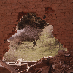Cover image for Photograph - Antill Ponds - Halfway House (ruins) - colour transparency, undated