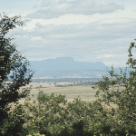 Cover image for Photograph - Ross - 'Rokeby' - panoramic view of the countryside